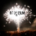 Elx Nit De L\'Albà 2013