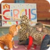 Circus op de Bukehof - YouTube