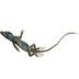 manularcenet