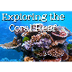 Exploring the Coral Reef