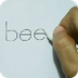 How to turn Word bee into a Ca