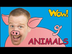 Farm Animals for Kids + MORE |