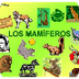 mamiferos