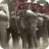 Ancient India-Mauryan elephant