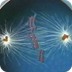 Cell Division
