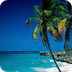 Florida Family Beach Guide
