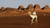 Nubia, Kerma, Kush, Meroe, Bla