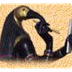 Fruit of the Nile