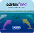 Dolphin Feed - Counting Money