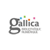 Gallica- millions livres numér