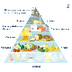 La Pirámide Nutricional