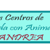 Bienvenida | ANDREA Asociación