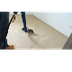 Quick Tips for Carpet Cleaning