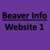 Fun Beaver Facts for Kids - In