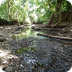 Situación Ambiental