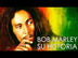 Biografia Bob Marley documenta
