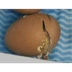 Chick hatching - YouTube