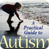 Guide to Autism