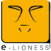 e-lioness, Electronics