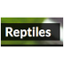 Reptiles - videos, photos and