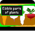 Plants you can eat!