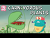 Carnivorous Plants | The Dr. B