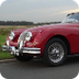Stenger Jaguar