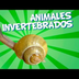 Animales Invertebrados | Video