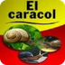 DESCARGA EL CARACOL