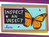 Inspect An Insect