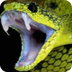 Snakes | Basic Facts About Sna