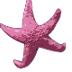 Sea Star- Enchanted Learning