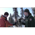 Iditarod: Denali's Dogs
