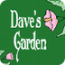 Dave's Garden