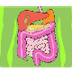 Digestive System - YouTube