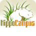 HippoCampus Videos