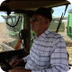Wheat Field Harvesting