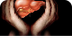 Liver Detoxification Tablets