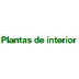 Plantas de Interior | Tipos, c
