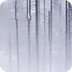 What Happened - M. Rocke