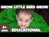 Grow Little Seed, Grow! | Plan