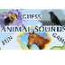 Animal Sounds, Guess The Anima