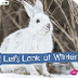 Let's look at winter : a 4D bo