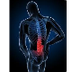 Low Back Pain And Chiropractic