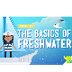 The Basics of Freshwater: Cras