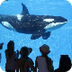 Newsela | SeaWorld promises bi