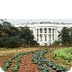10 Veggies from White House