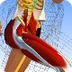 Anatomía 3D Lyon 1 - YouTube