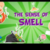Five Senses:The Sense of Smell