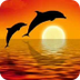 Meditación con los delfines
